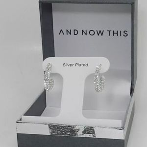 Elegant Silver Hoop Earrings